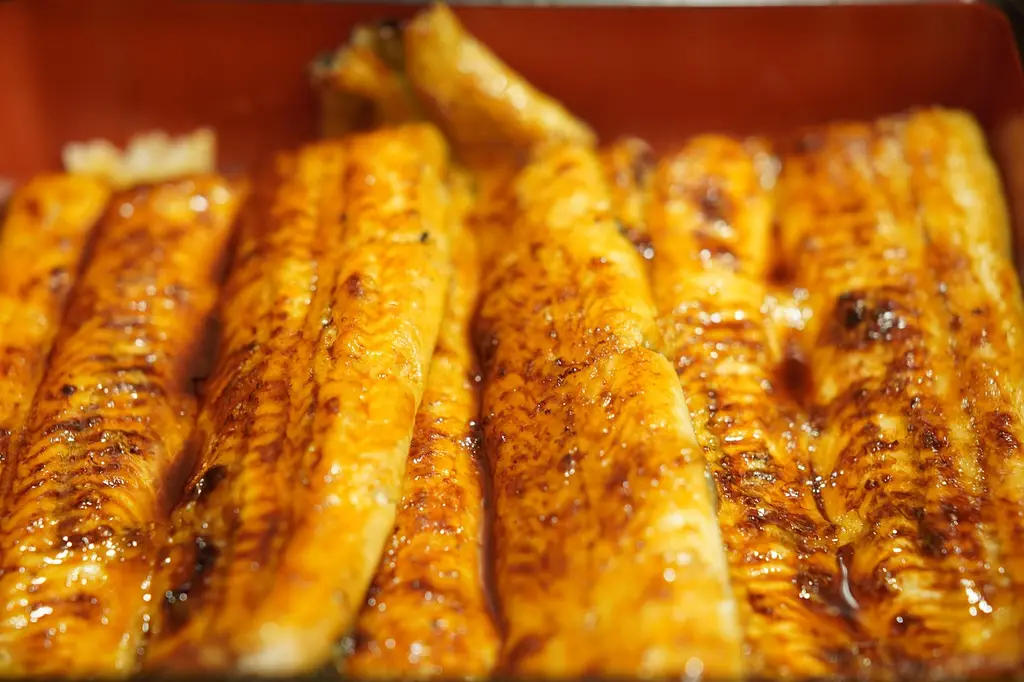 your bowl, eel, japanese food, gourmet, grilled eel, japanese meal, restaurant, cooking, unadon, japanese style, fish dishes, eel, eel, eel, eel, eel, japanese food, japanese food, grilled eel, grilled eel