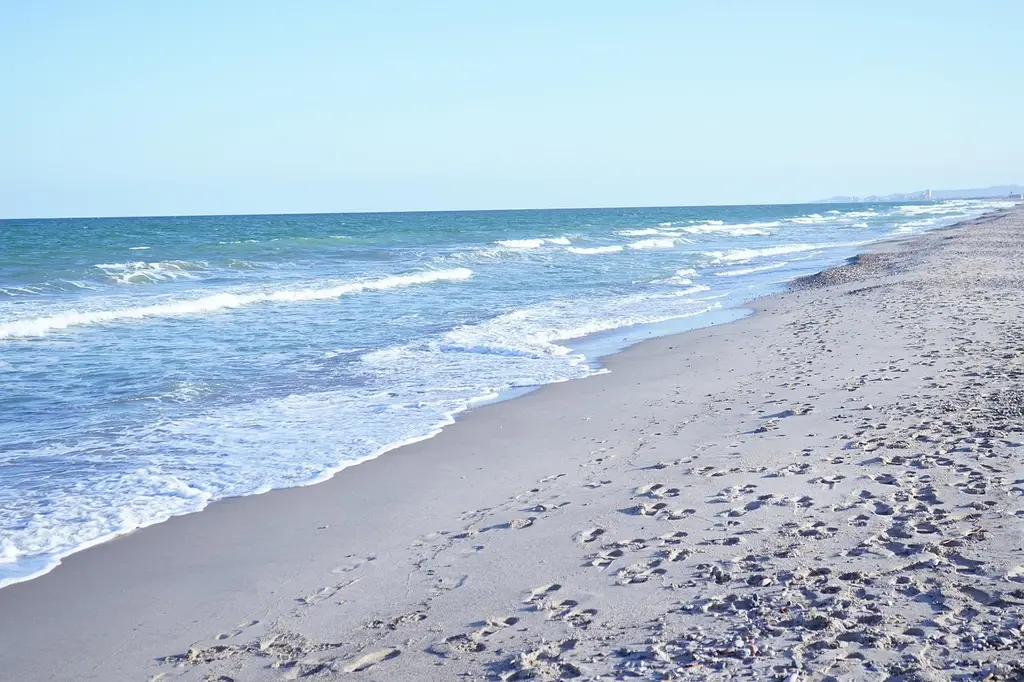 costa, beach, sea, nature, darling, blue, waves, valencia, shovel saler