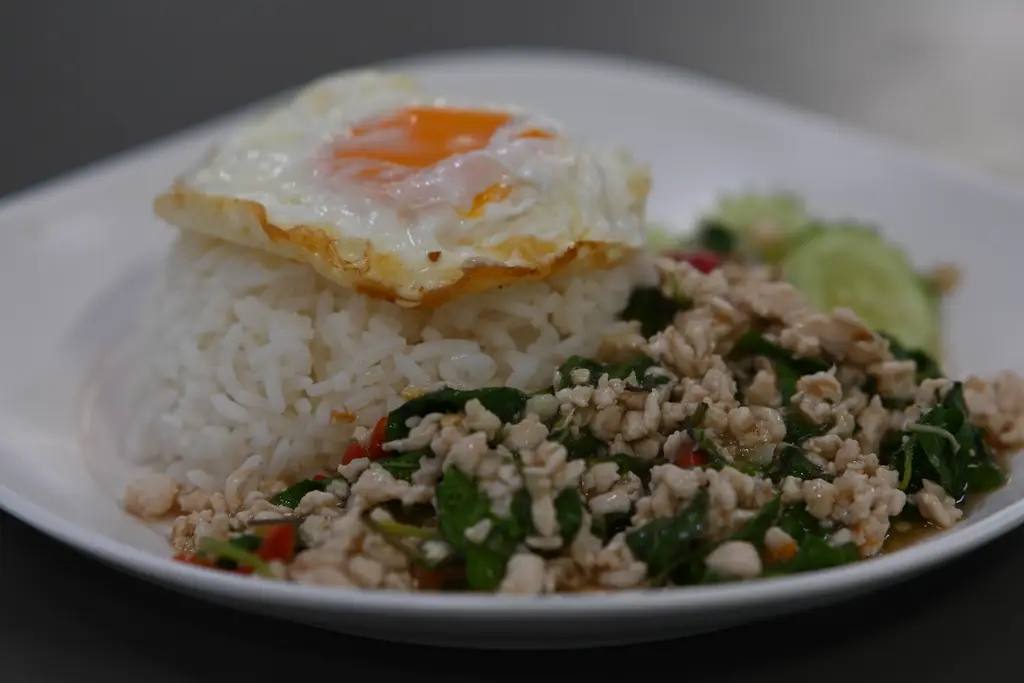 DFC 0804 A plate of steamed white rice topped with a runny fried egg served alongside stir-fried minced chicken with basil and sliced cucumber