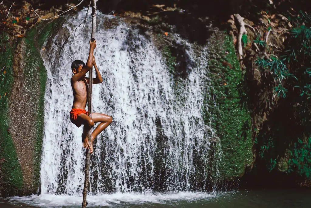 Young boy climbing a tree by a scenic waterfall in Thailand during daylight.