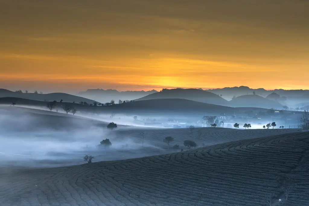 tea plantation, 4k wallpaper 1920x1080, windows wallpaper, landscape, cool backgrounds, beautiful wallpaper, vietnam, haze, morning, early, desktop backgrounds, free background, sunrise, laptop wallpaper, wallpaper hd, mac wallpaper, hills, nature, moc chau, background, asia, agriculture, blue nature, wallpaper 4k, blue background, blue landscape, free wallpaper, full hd wallpaper, hd wallpaper, 4k wallpaper, blue sunrise, blue tea, blue natural, blue morning
