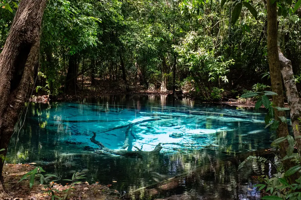 Discover a tranquil tropical pool with crystal-clear blue water surrounded by lush, green forest.