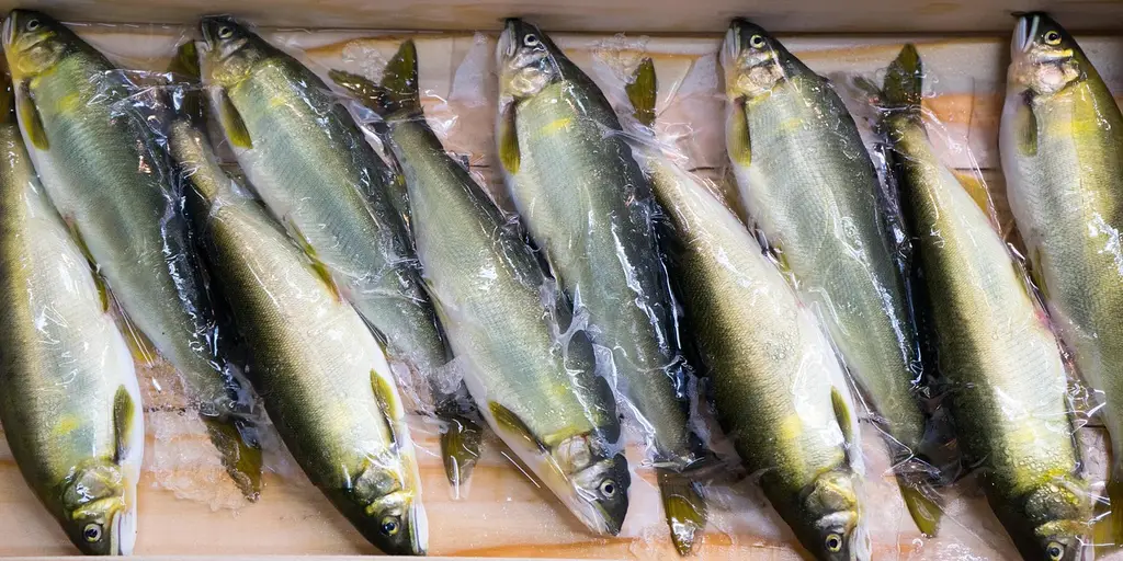 fish, fishmonger, fresh, food, market, nature, seafood, sea, raw, catch