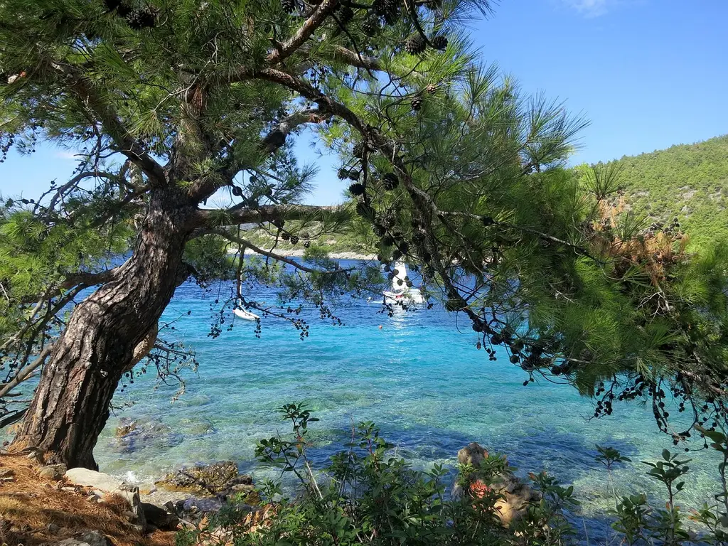 bodrum village, nature, turkey, clear blue water, boat, sunny, beach, sea