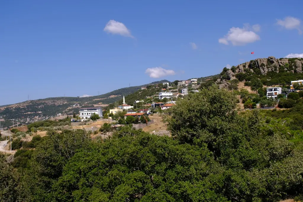 A view of a town on a hill with trees