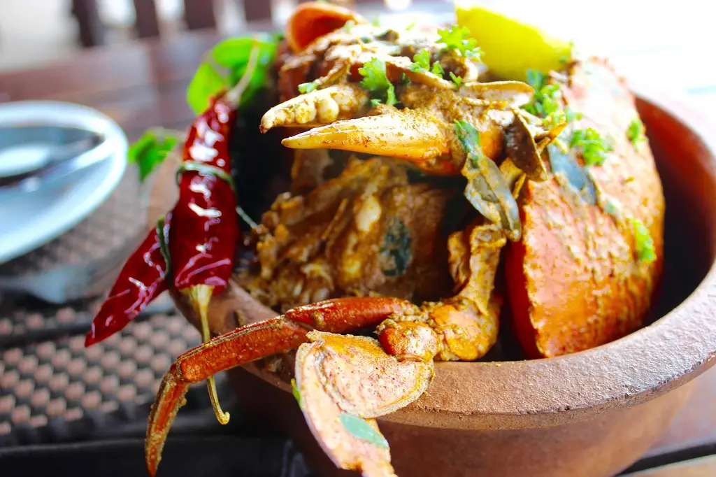 crab curry, curry, seafood, spicy, restaurant, chili, tasty, asian, dish, cuisine, style, hot, crab curry, crab curry, crab curry, crab curry, crab curry