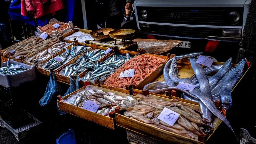 fish, food, market, sale, seafood, stall, street, nature, street market, wet market