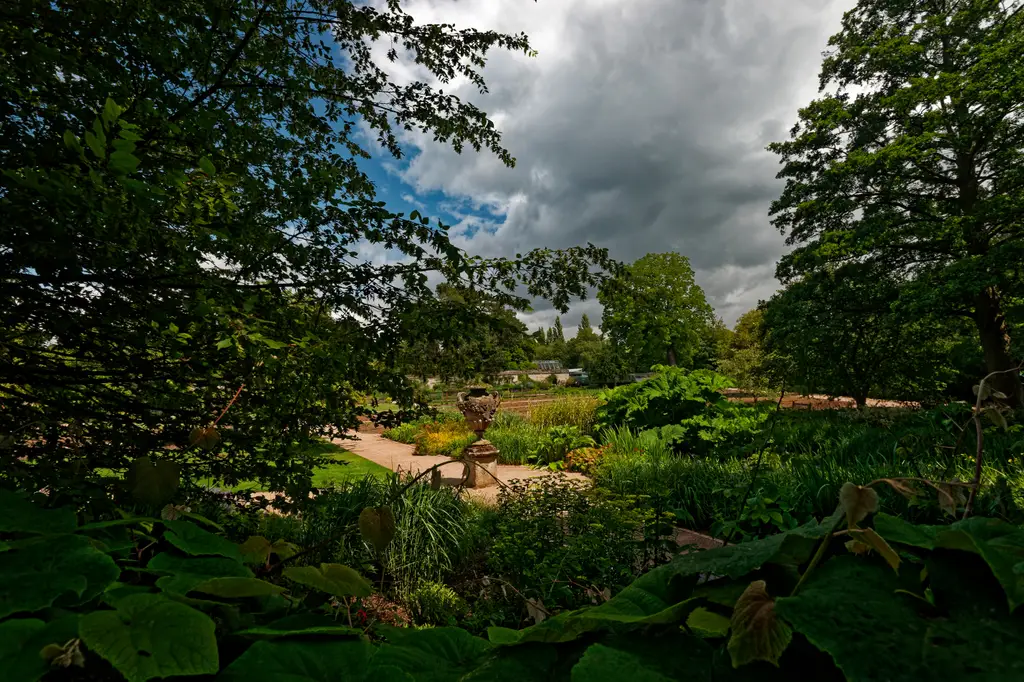 Oxford - Christ Church Meadow Walk - View on University of Oxford Botanic Garden 01