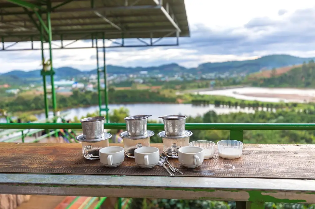 coffee, vietnam, da lat, coffee plantation, drink, vietnam coffee, coffee beans, roasted, caffeine, aroma, beverages, beans, expresso, nature, waters, wood, heaven, summer, da lat, da lat, coffee plantation, coffee plantation, vietnam coffee, vietnam coffee, vietnam coffee, vietnam coffee, vietnam coffee