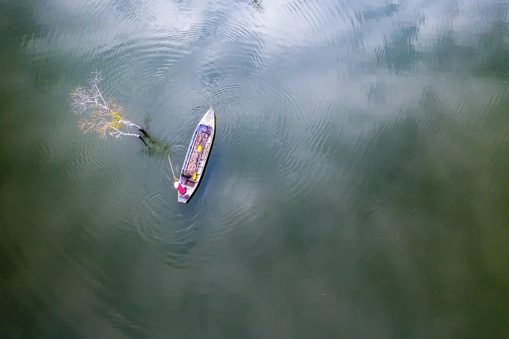 tree, fisherman, fishing, lake, tuyen lam, da lat, vietnam, boat, water, landscape, clouds, thunderstorm, nature, fishing, da lat, da lat, da lat, da lat, da lat, vietnam, vietnam