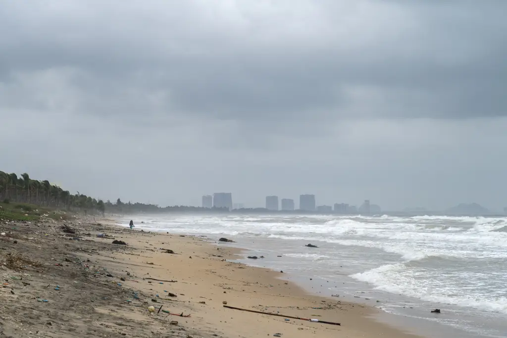 2024-11-23 An Bang Beach in Hoi An in November