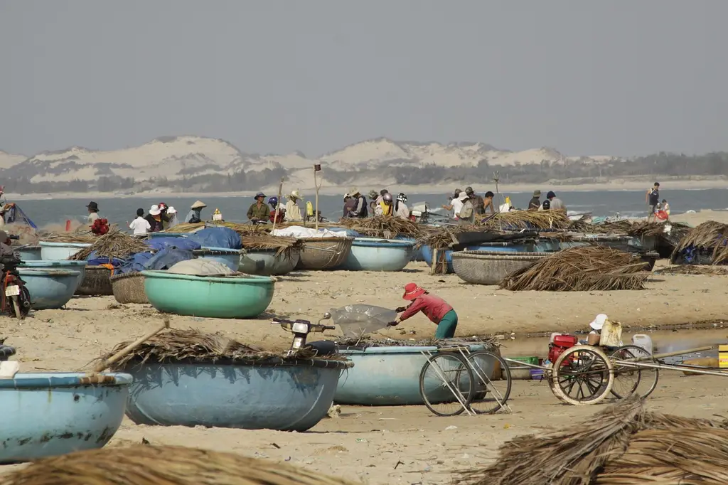 fishermans, basket boat, collecting fish, seaside, cam binh, vietnam, gray fish, gray boat, gray fishing