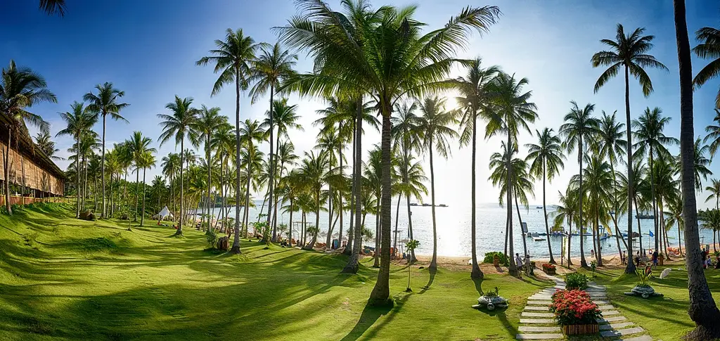 sun, grass, han thom, phu quoc, vietnam, blue sky, holiday, relax, park, natural, coconut, resort, beach, exotic, island, paradise, sky, green, tropical, blue, palm, summer, nature, landscape, tree, beautiful