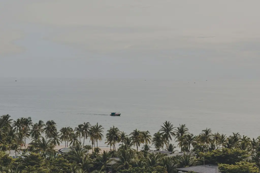 Serene panorama of palm-lined Phu Quoc beach with a distant boat on the calm sea.