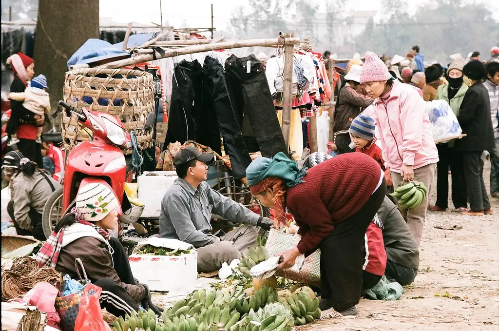 vietnam, ha noi, home town, market, holiday, tet holiday, old, tết, tradition, people, cultural, festival, ha noi, ha noi, ha noi, ha noi, ha noi, market, tet holiday, tết