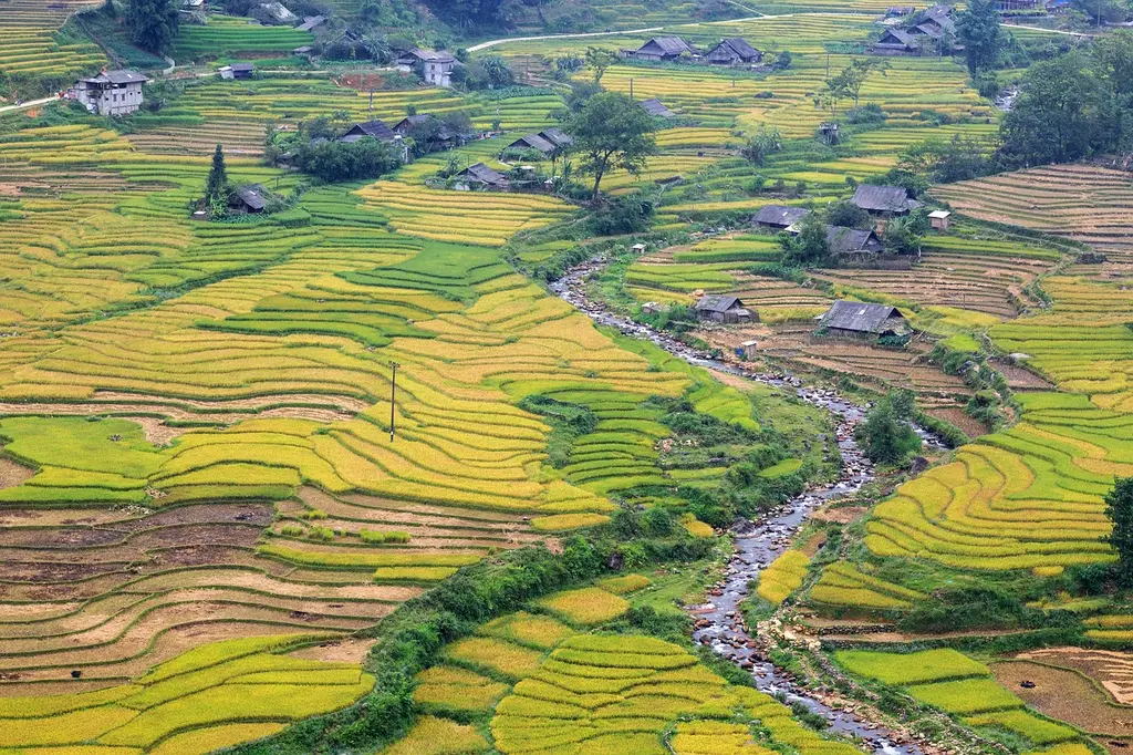 sapa, lao cai, vietnam, landscape, nature, plant, mountain, village, tourism, local, hill, travel, valley, green, sapa, sapa, sapa, sapa, sapa